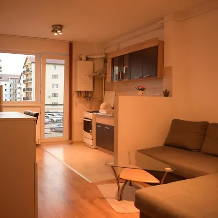 Apartament Alexandru