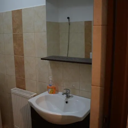 Apartament Alexandru *